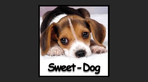 Sweet-Dog